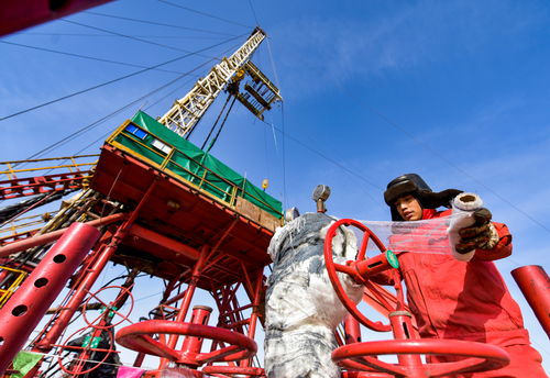 西北油田設(shè)備嚴(yán)冬防護(hù) 為石油裝備“添衣加被”御嚴(yán)寒